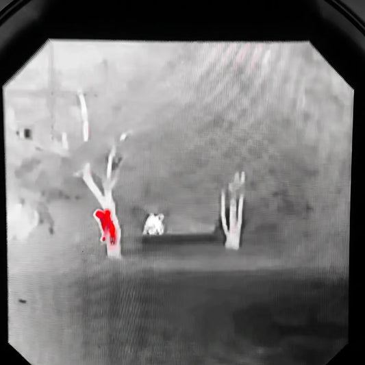 Does Thermal Vision Work in Total Darkness? (2026)