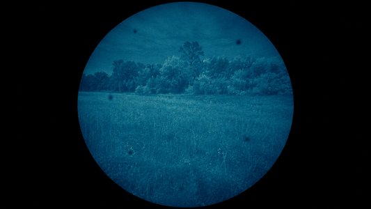 Reading Tube Blemishes: Black Spots, Chicken Wire and Halo (2026)