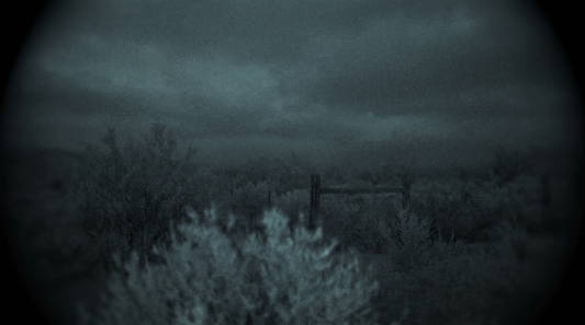 Why Does My Night Vision Look Grainy? Causes, Ranked (2026)